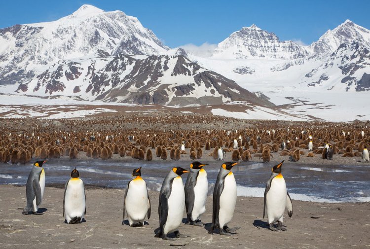 Unknown Antarctica: 10 interesting facts
