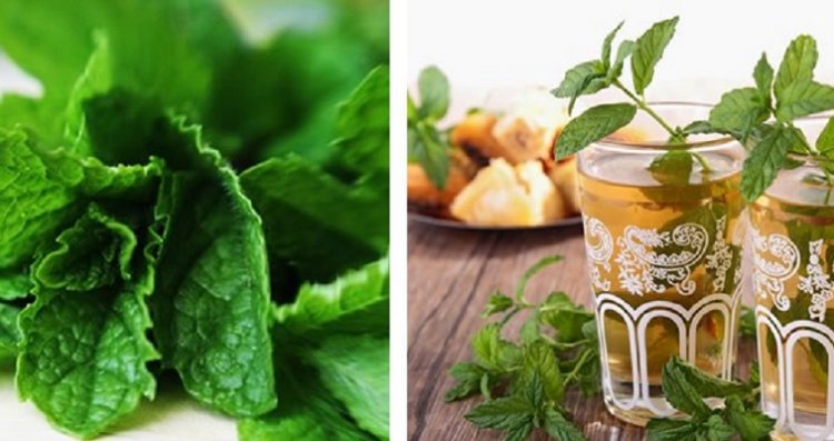 9 beverages to help to warm up in winter