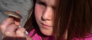 Sadie’s Story: Life with Pediatric Bipolar Disorder-Term Life