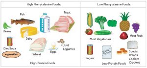 Foods to Avoid on a Phenylketonuria Diet | Med Log