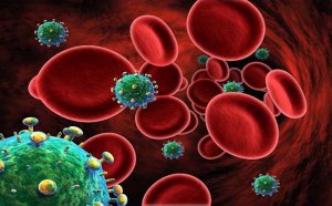 Study emphasizes need for Ryan White HIV/AIDS Program to receive basic HIV care:Term Life