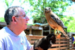 Birds of prey therapy helps lift spirit of patient with Parkinson’s disease-Term life