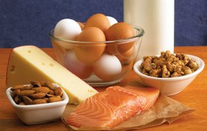 36 Low Carb & High Protein Foods Best Weight Loss Program