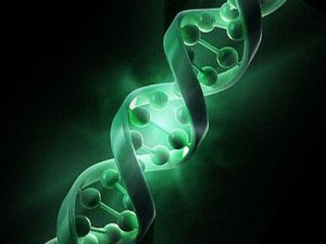 Cystic Fibrosis or “The Salt Children Disease”Term Life
