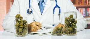 33 MYTHS ABOUT MARIJUANA YOU NEED TO STOP BELIEVING IMMEDIATELY-Term Life