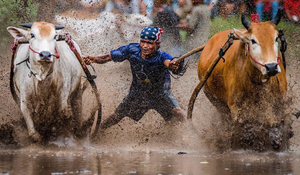 Stranger Than Fiction: The Wildest Sports on Earth